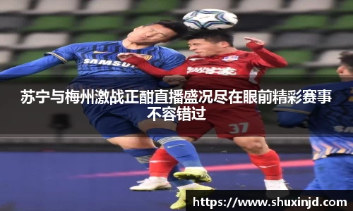zoty中欧官网